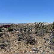 Baja2011 158 : Baja2011
